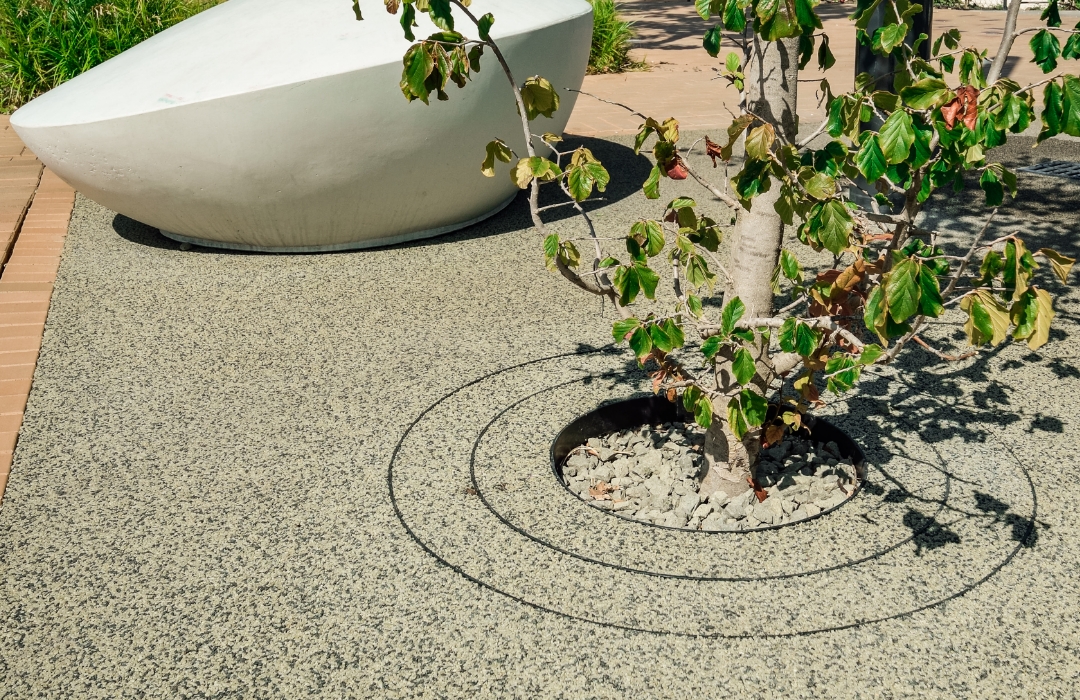 Runde, große Baumscheibe von Terraway® unter altem Baum